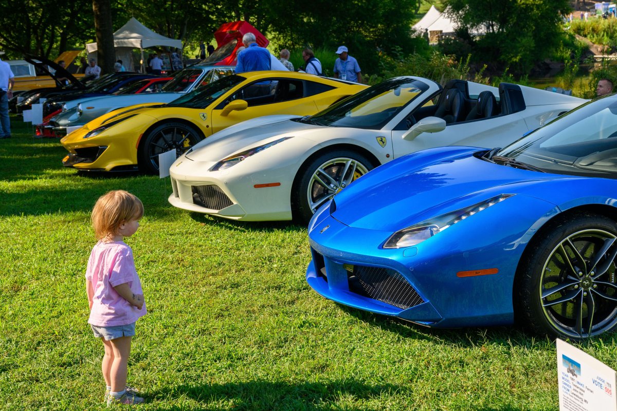 little girl looks at sports cars