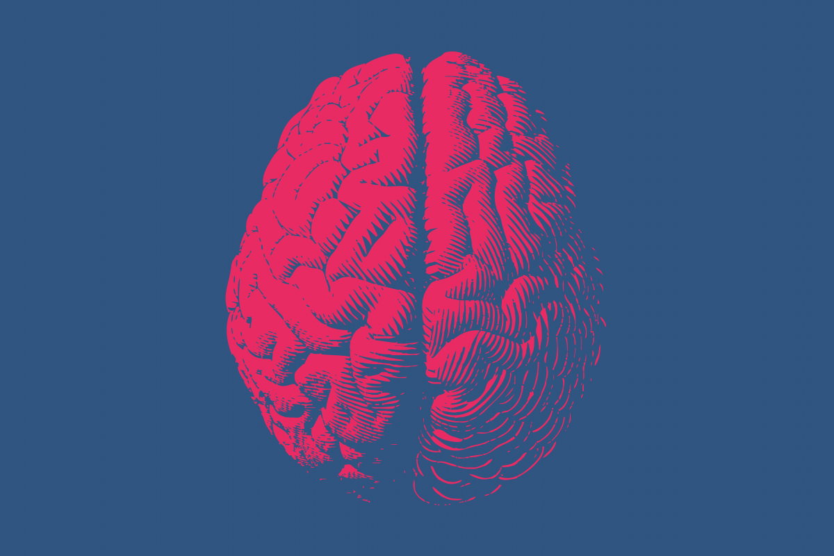 Illustration of human brain against navy background 