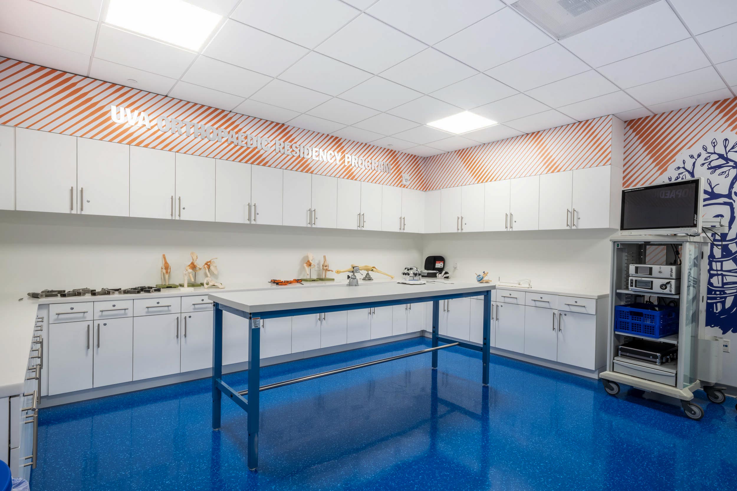 an image of the new bioskills lab shows sleek counters and cabinets