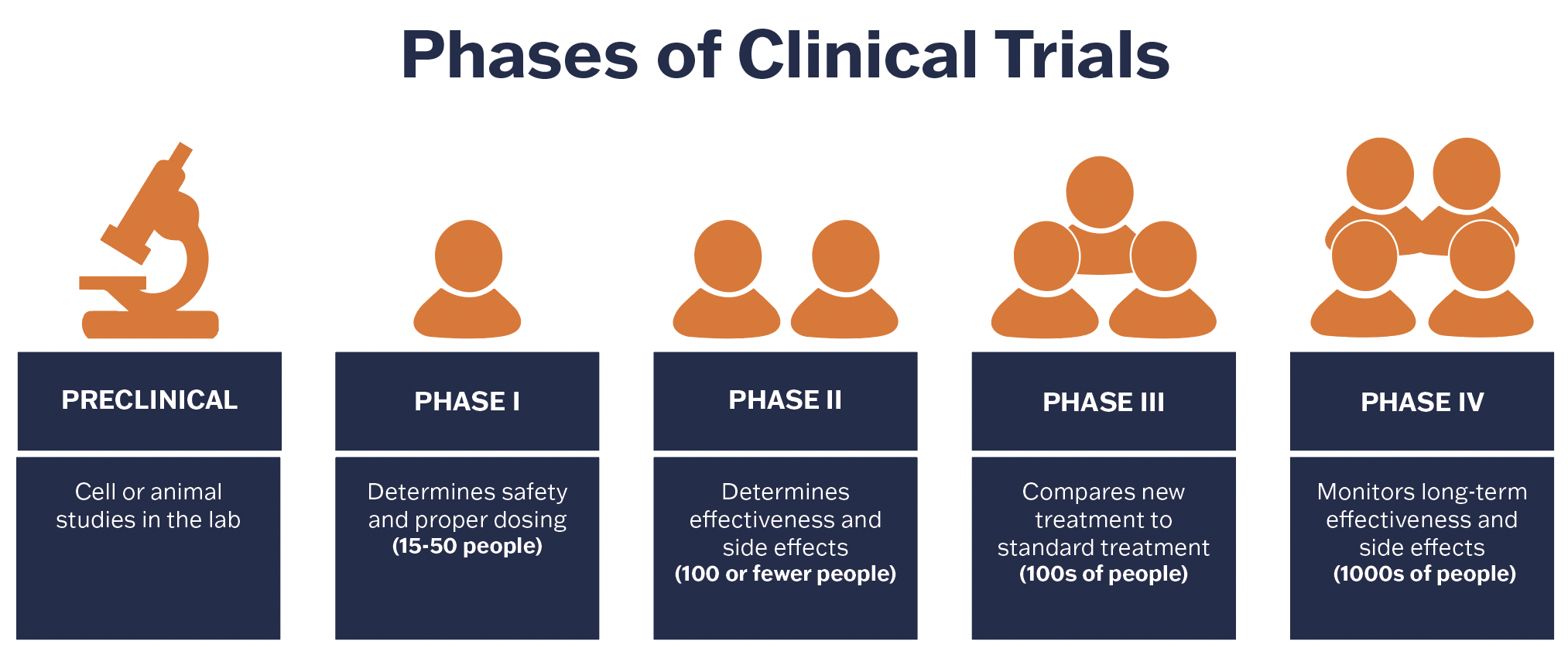 graphic explaining the phases of clinical trials