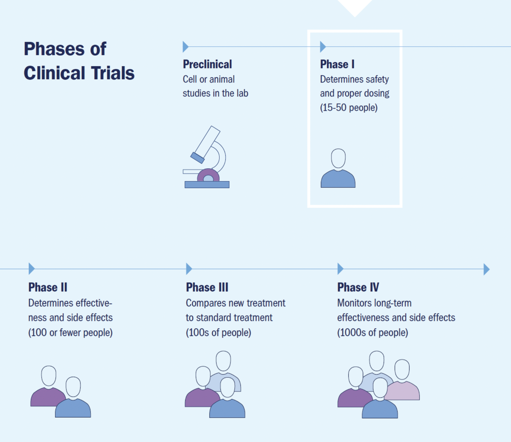 infographic summarizing the phases of clinical trials