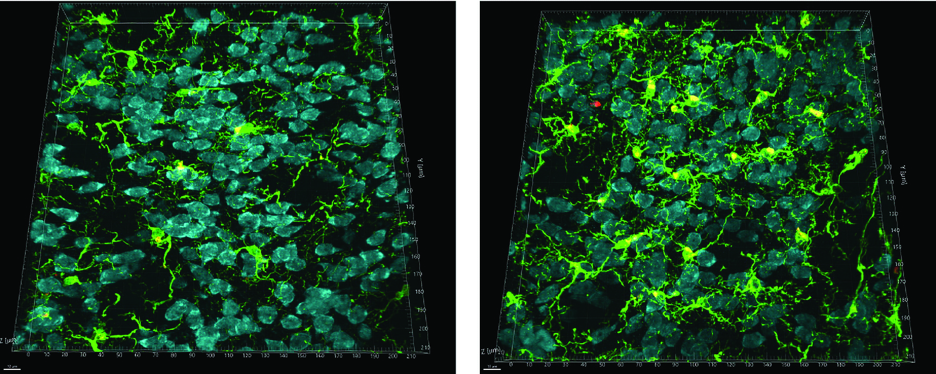 green tracers are seen glowing against a black background, with more visible on the right