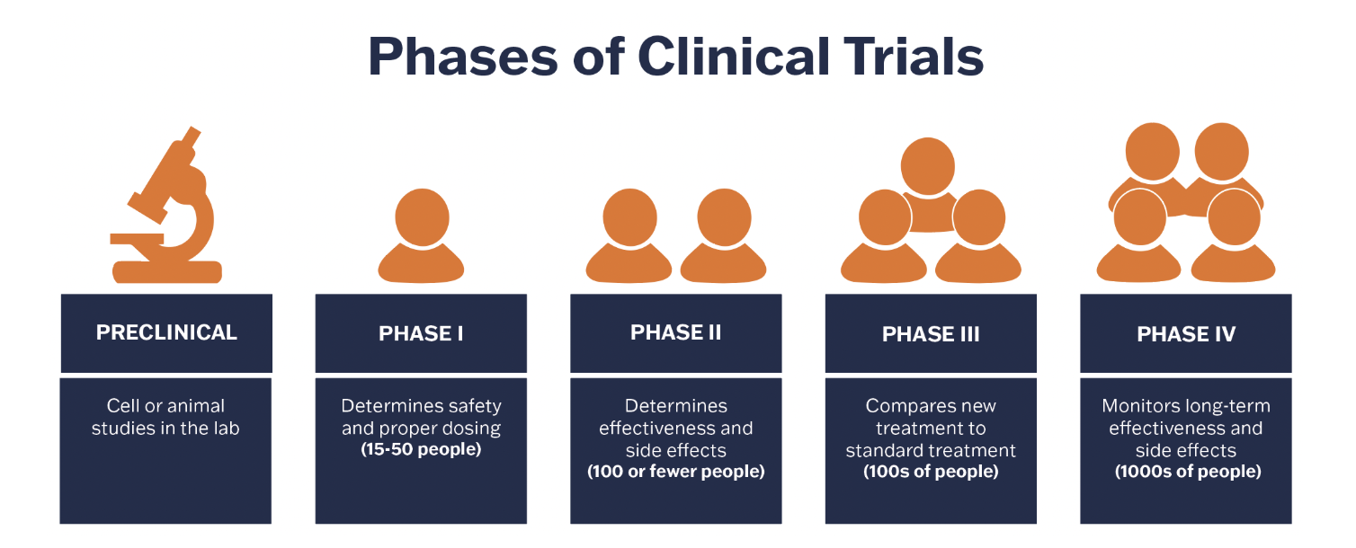 infographic showing the stages of clinical trials