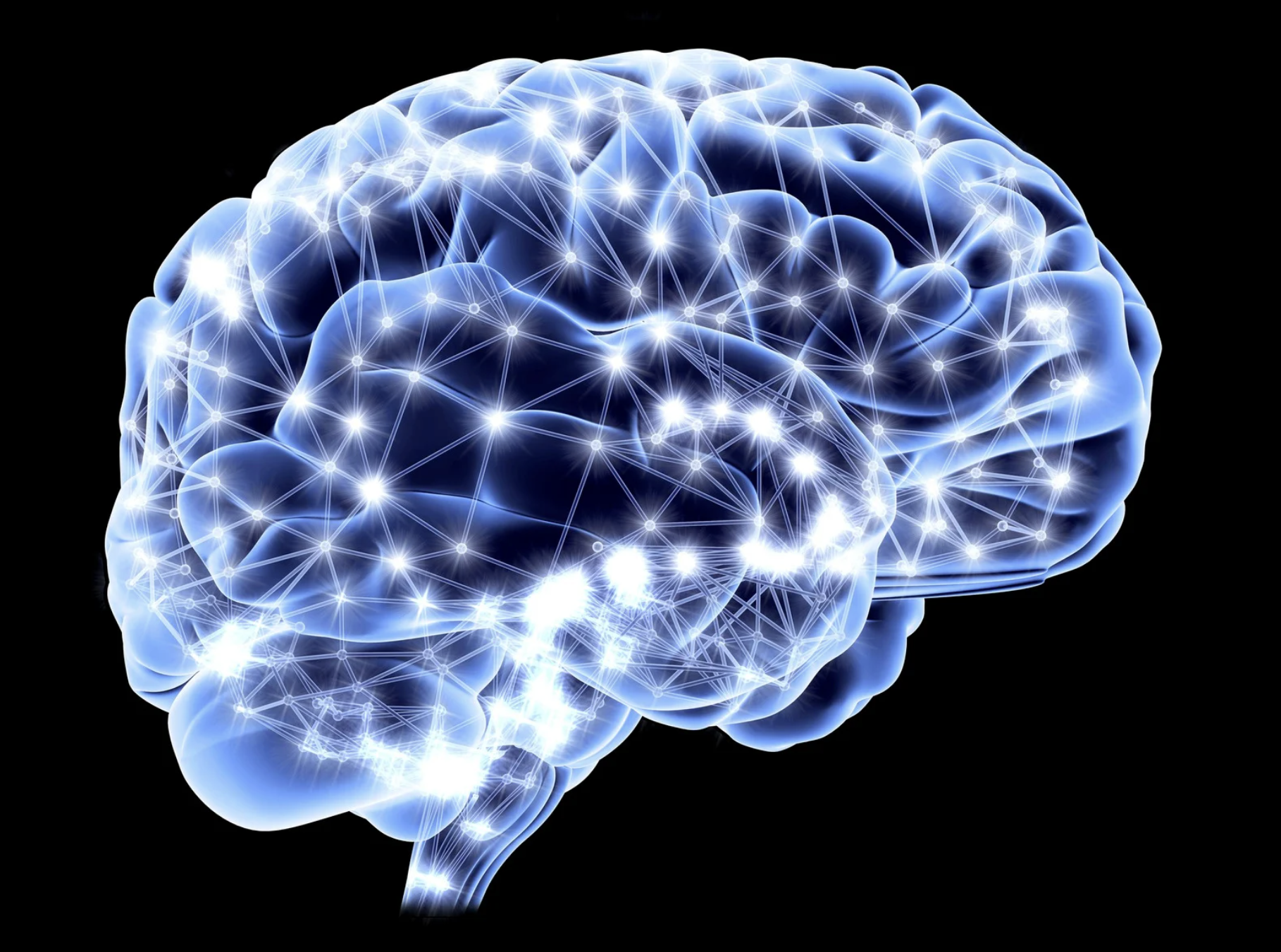 graphic of a brain