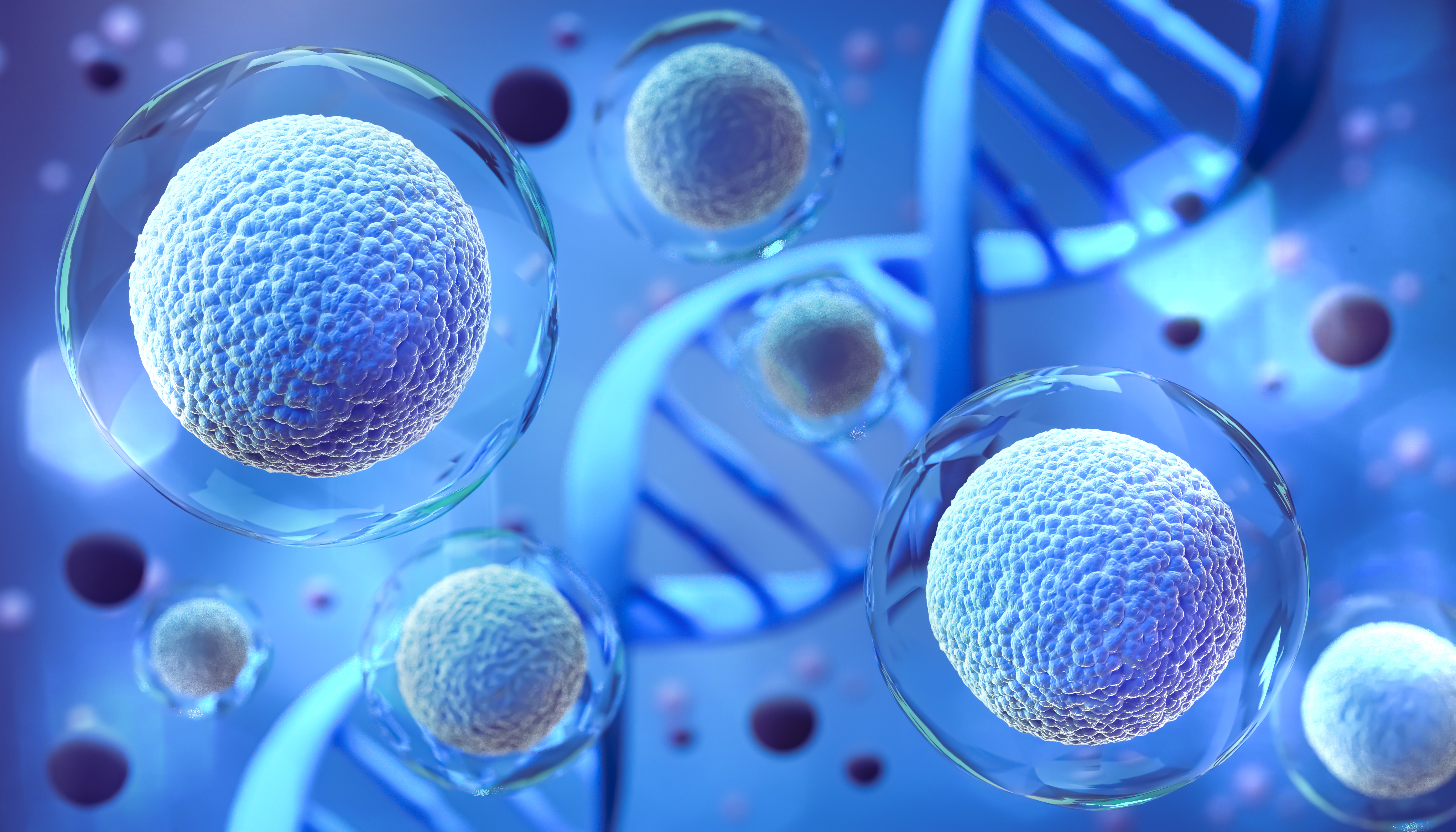 Marking Milestones in Stem Cell Transplantation