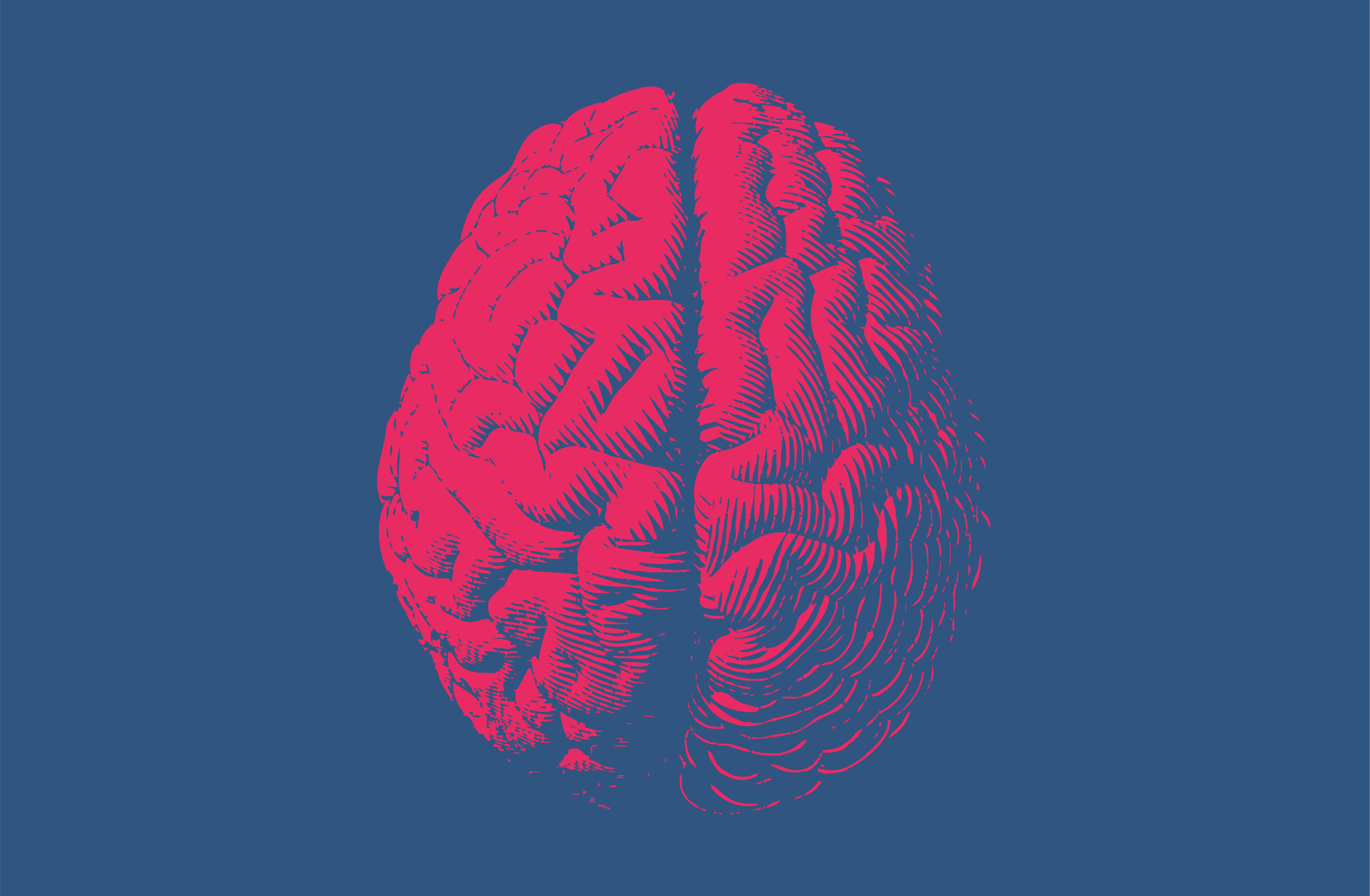Brains brains brains слушать. Мозг человека арт. Красивый мозг.