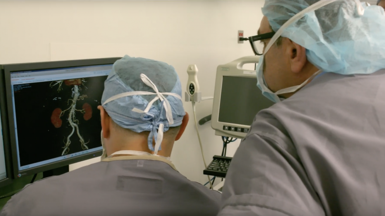 Two transplant surgeons look at a computer screen with a lungs modeled on a program.