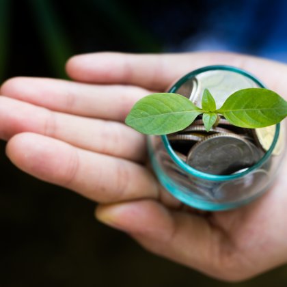 hand holding plant