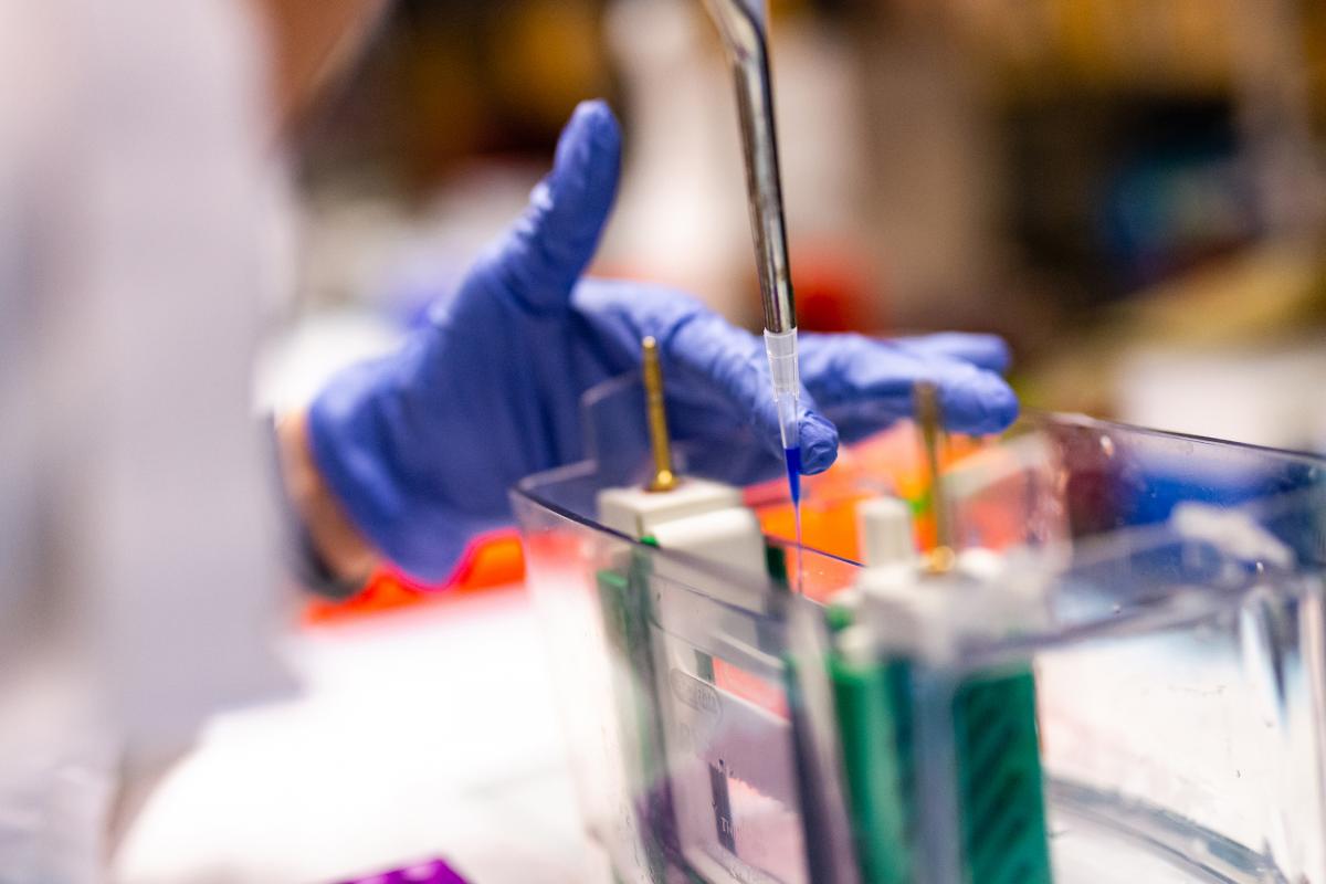A gloved hand holds a pipette above brightly colored vials.