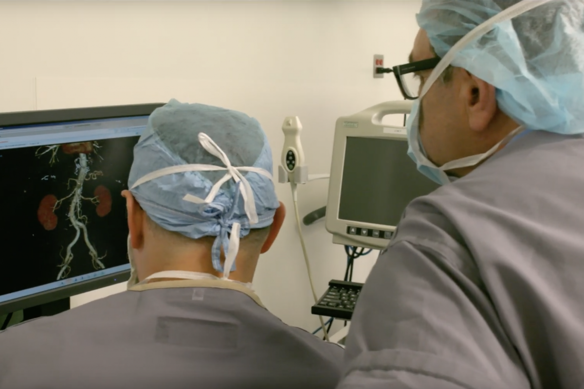 Two transplant surgeons look at a computer screen with a lungs modeled on a program.