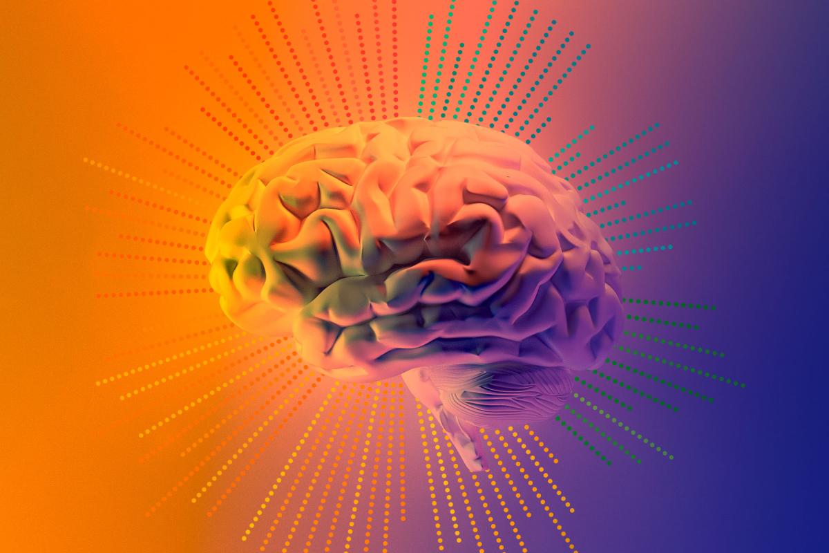 illustration of brain