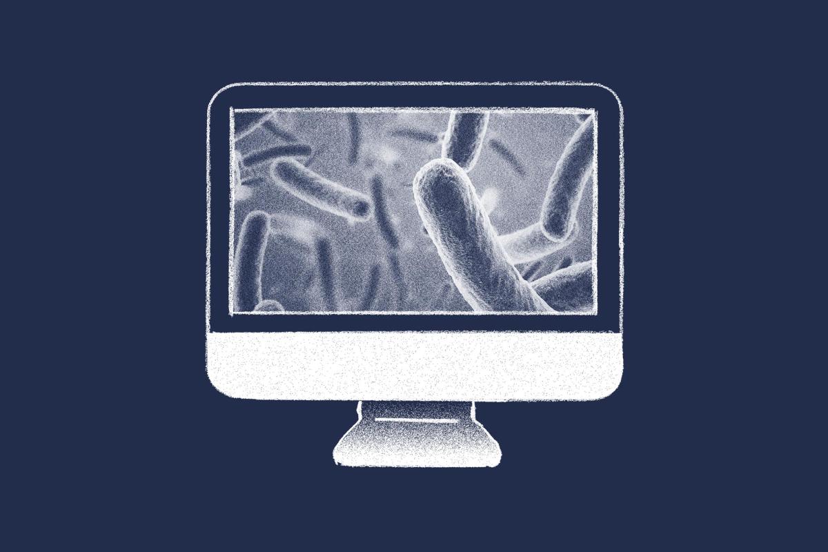 illustration of C. difficile