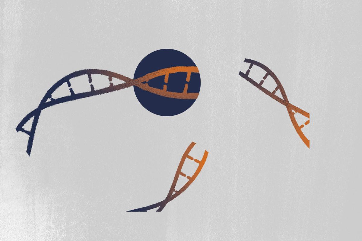 Illustration by Ziniu Chen, University Communications
