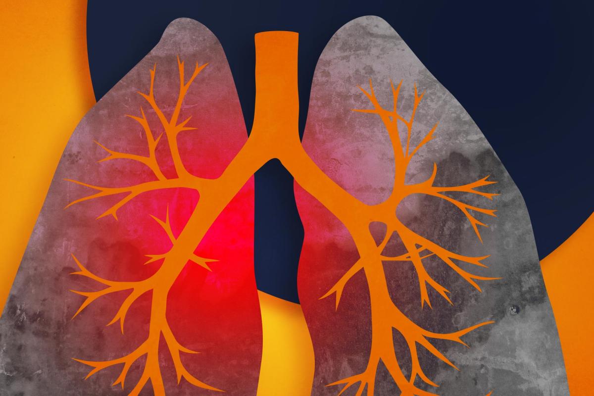 illustration of lungs