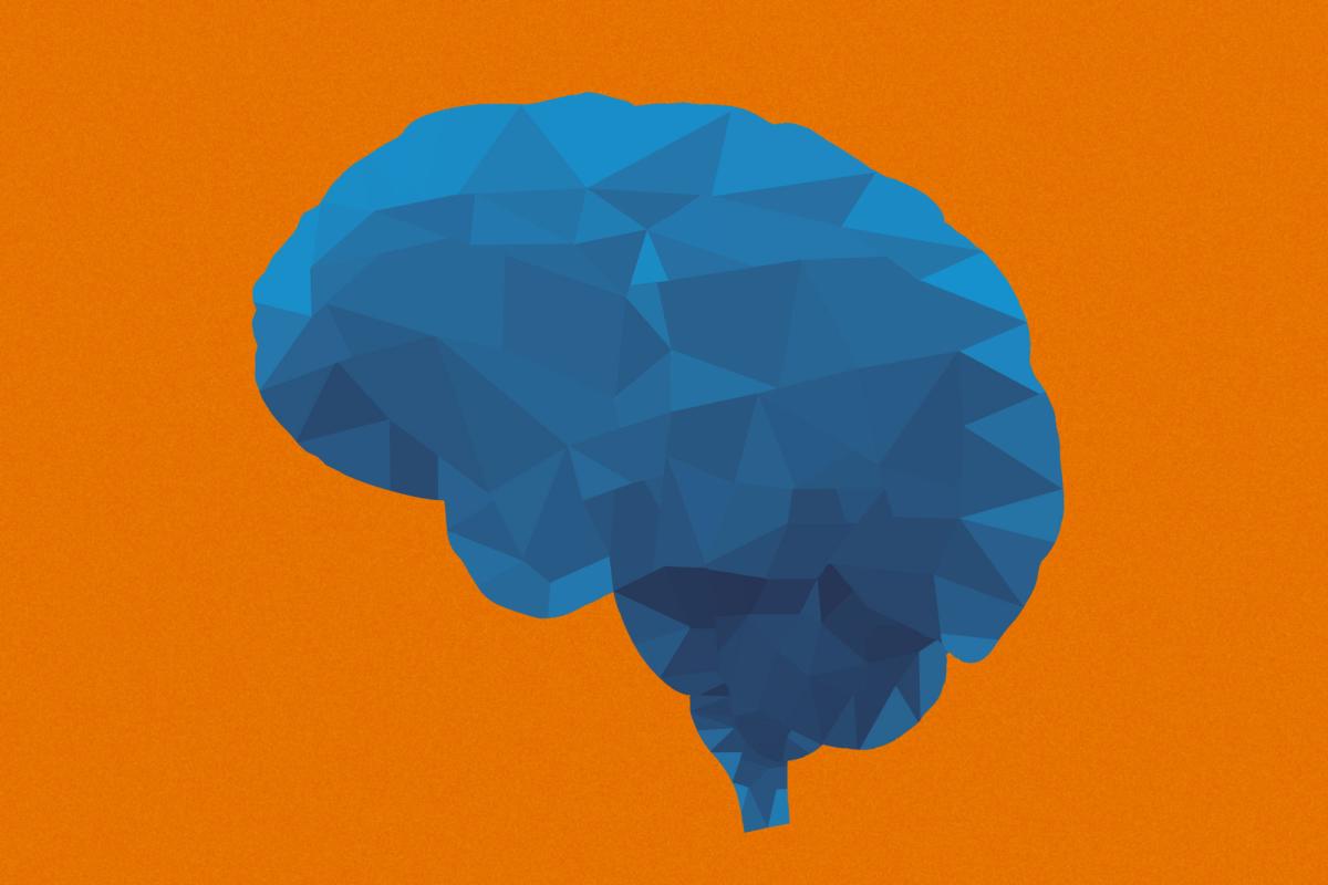 illustration of the brain