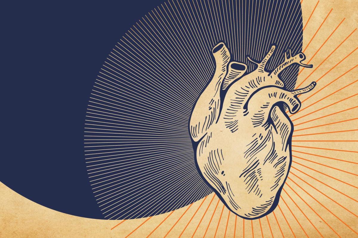 illustration of the heart