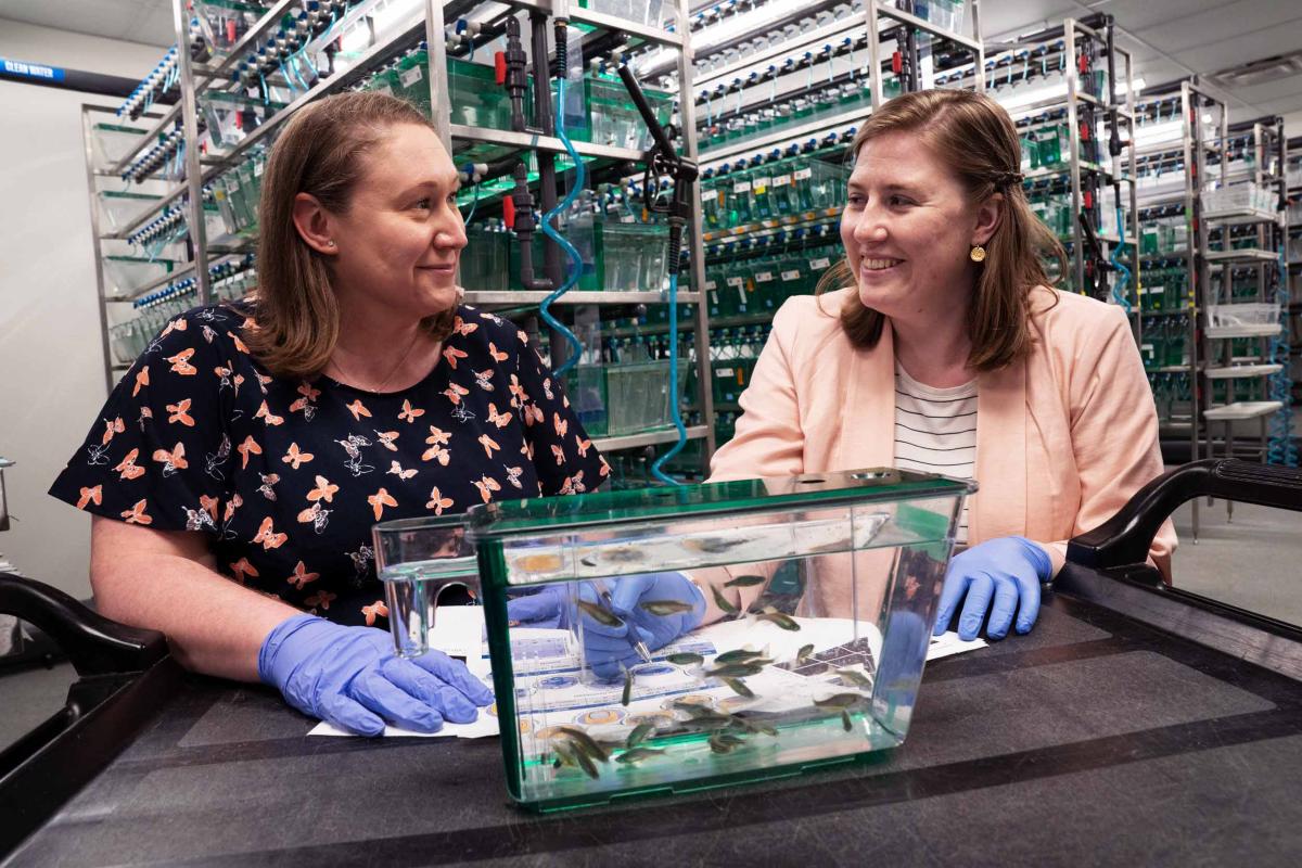 Professor Sarah Kucenas and recently minted doctor of neuroscience Ashtyn Wiltbank take a moment to reflect on Wiltbank’s journey working in the lab over several years. 