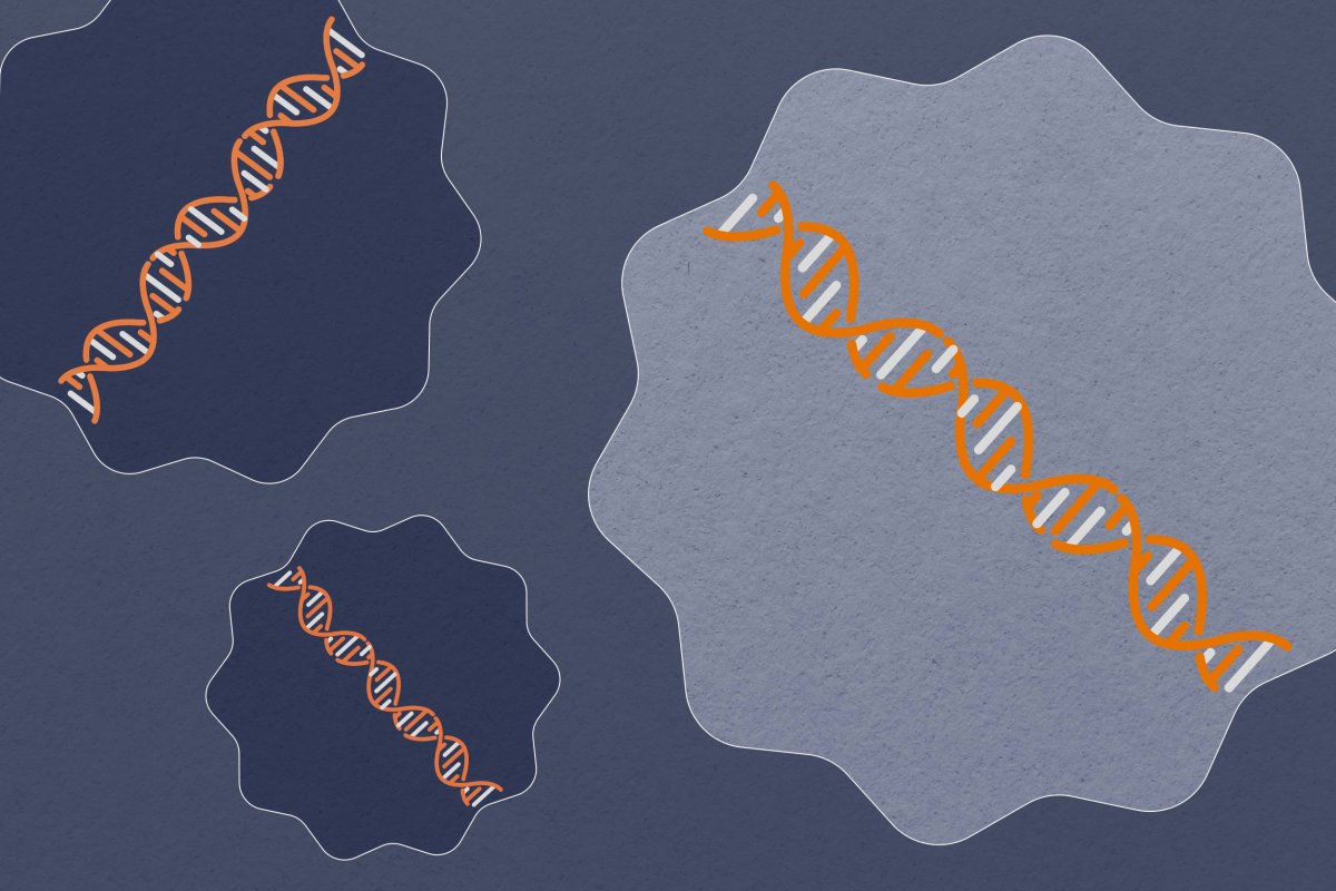 illustration of dna