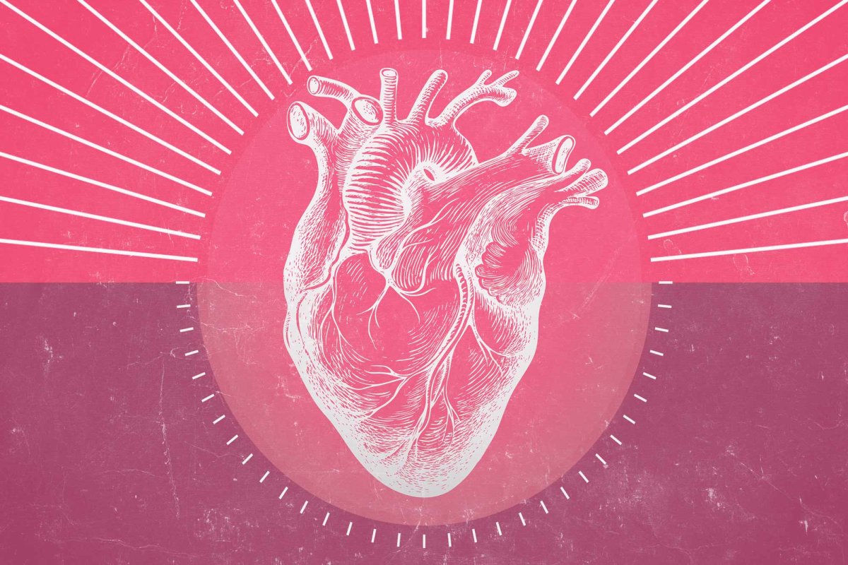 illustration of a heart