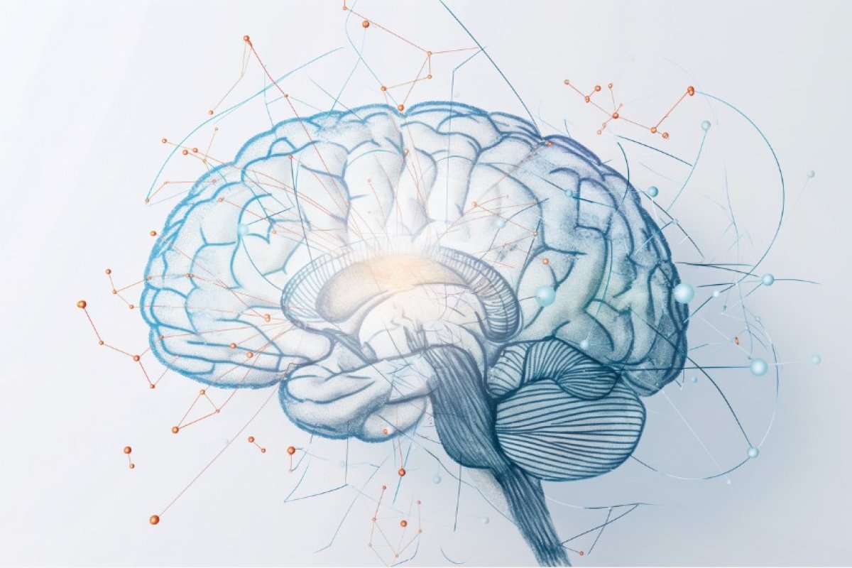 brain image illustration