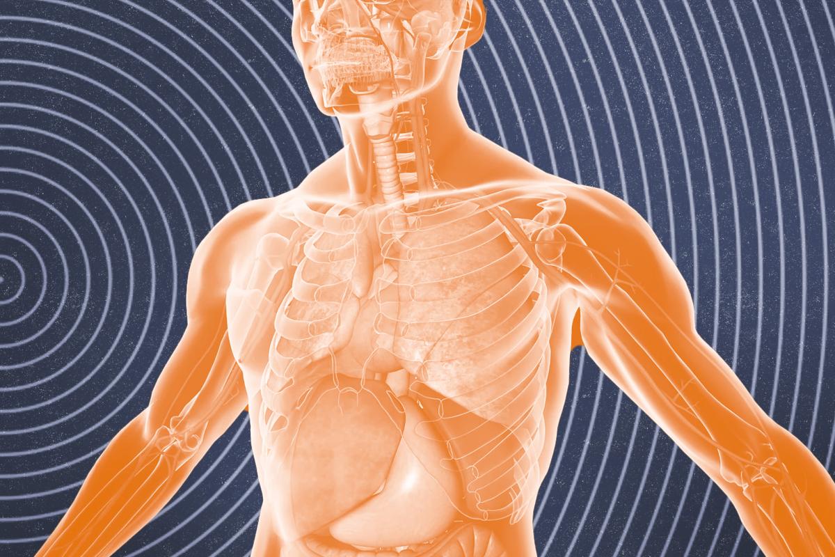 illustration of human body
