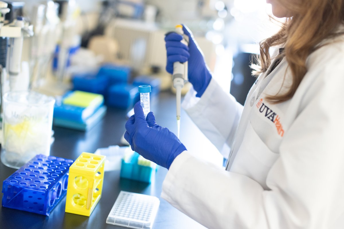 gloved hands in a lab