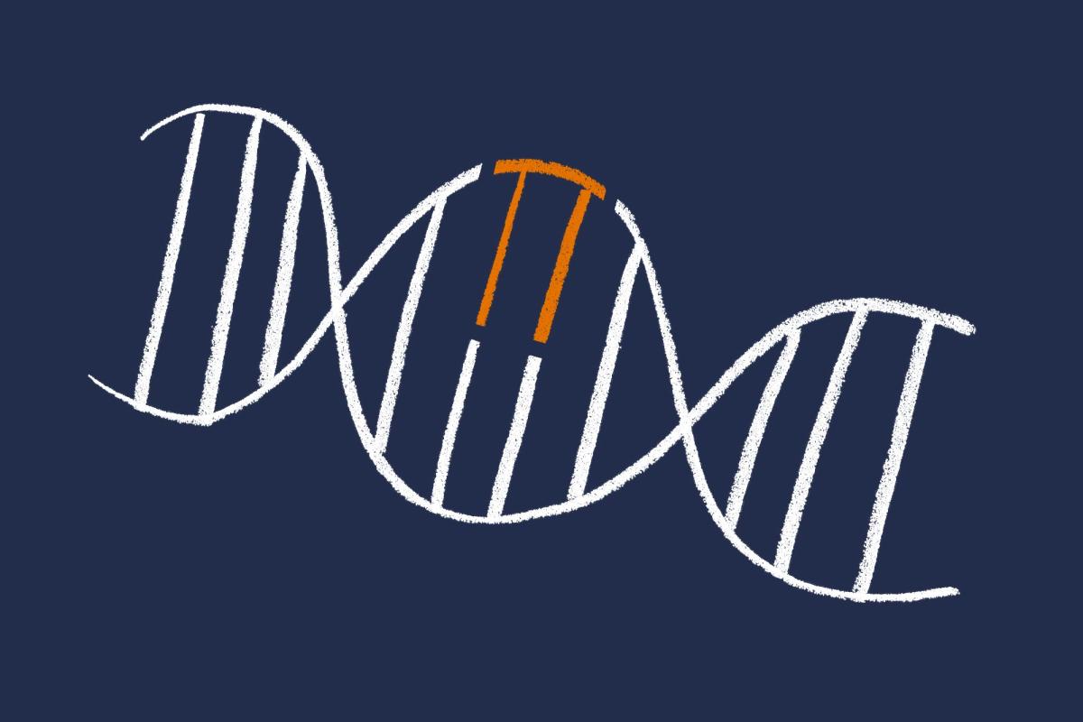 illustration of genes