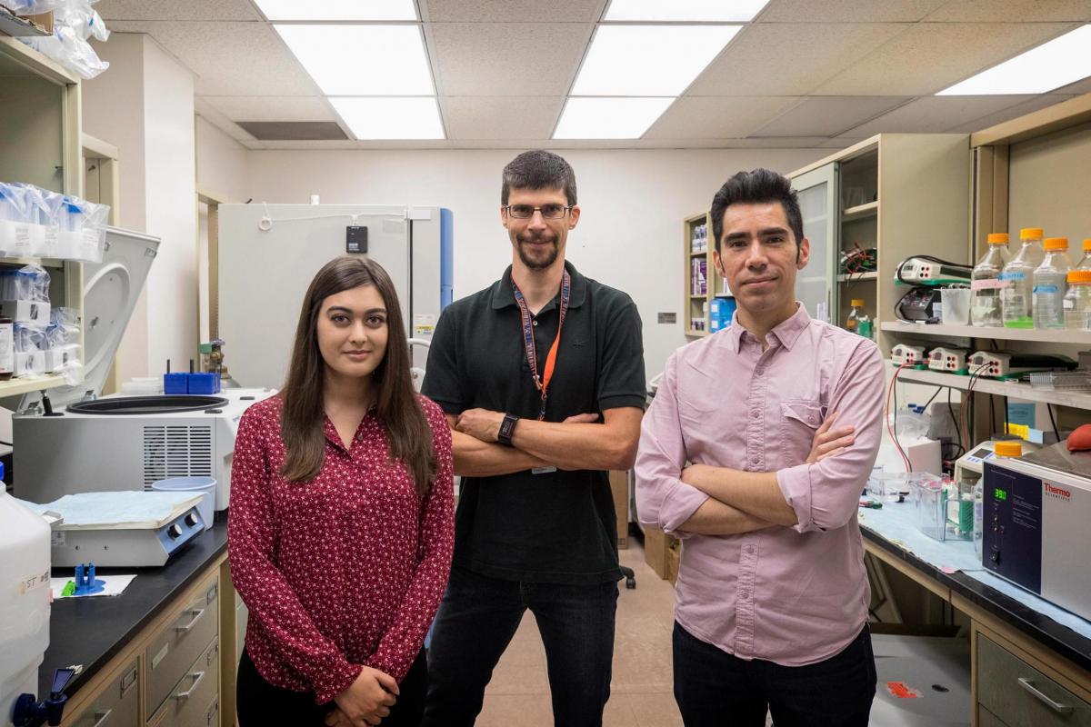 Megan Chappell, Alban Gaultier and Anthony Fernández-Castañeda stand in their lab and look at the camera.